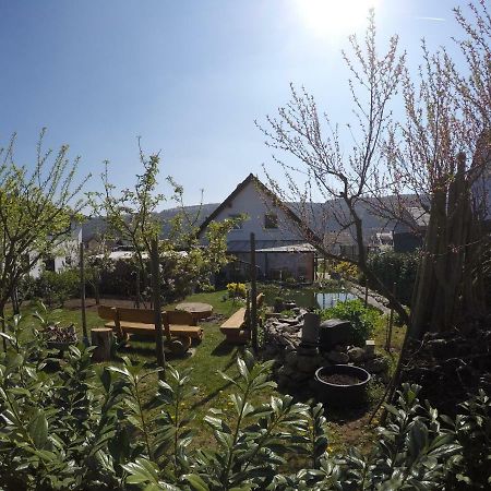 Moselie Ferienwohnung Kinheim Mosel Экстерьер фото