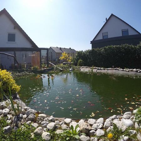 Moselie Ferienwohnung Kinheim Mosel Экстерьер фото