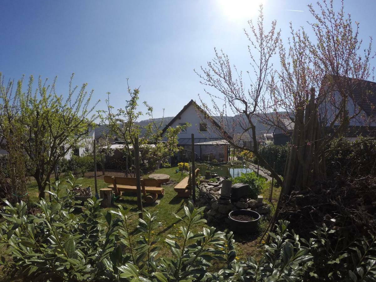 Moselie Ferienwohnung Kinheim Mosel Экстерьер фото