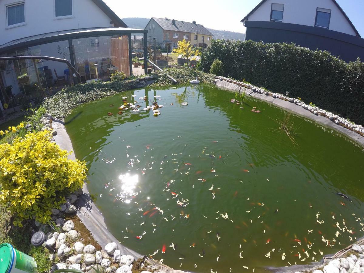 Moselie Ferienwohnung Kinheim Mosel Экстерьер фото